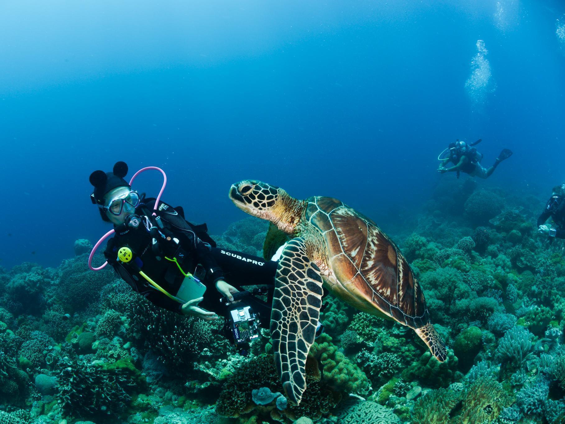 Acqua Dive Panzió Zamboanguita  Kültér fotó