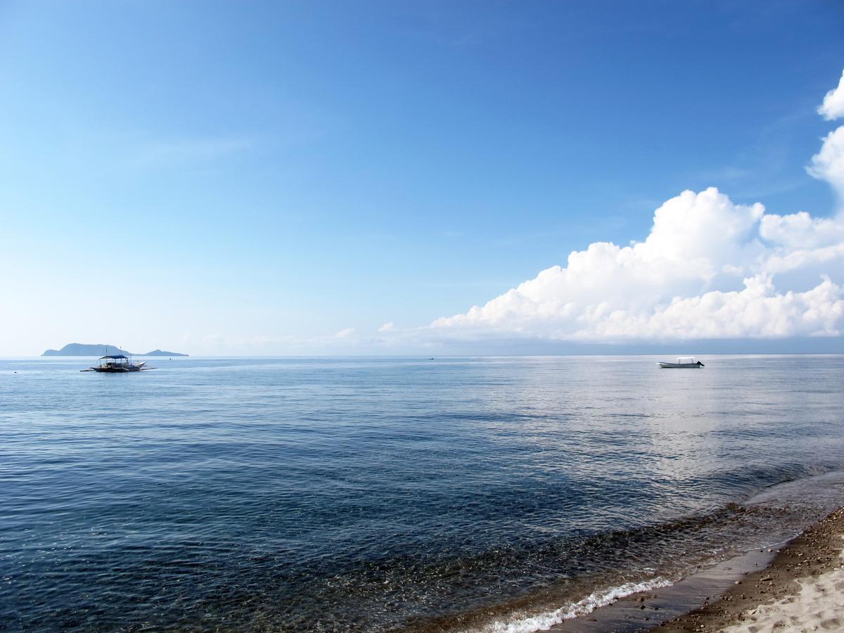 Acqua Dive Panzió Zamboanguita  Kültér fotó