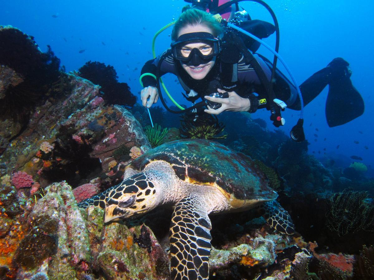 Acqua Dive Panzió Zamboanguita  Kültér fotó