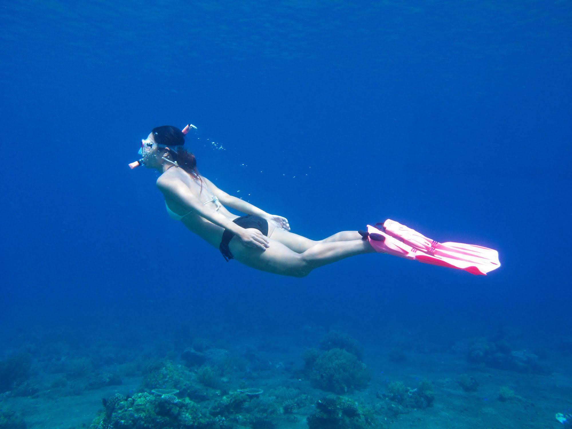 Acqua Dive Panzió Zamboanguita  Kültér fotó